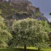 Y3Q9718 Edinburgh Castle