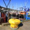 Fishing Boats Tarbert Loch Fyne