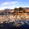 Loch Tulla After Frost And Stob Gabhar Black Mount Nr Bridge Of Orchy