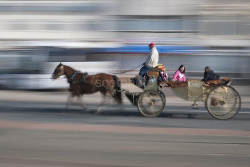 DSC 2142 Horse And Cart Again