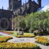 Chester Cathedral From Gardens