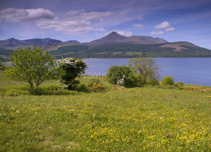 Springtime View Towards Goat Fell Brodick Bay Arran