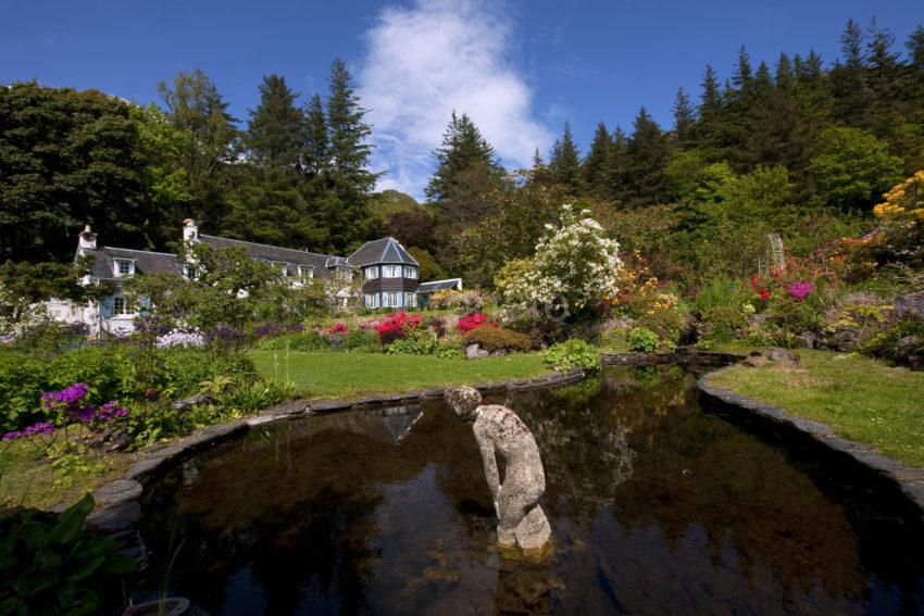 Garden From Fountain