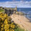 WY3Q9497 St Andrews Castle And Beach