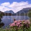 Loch Clair And Liathach In Spring Torridon North West Highlands