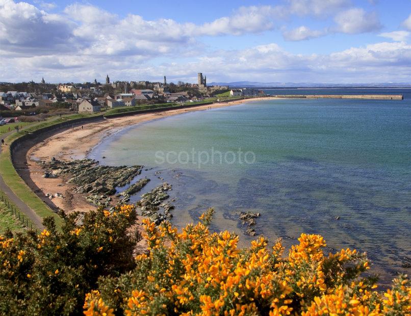 St Andrews In Spring