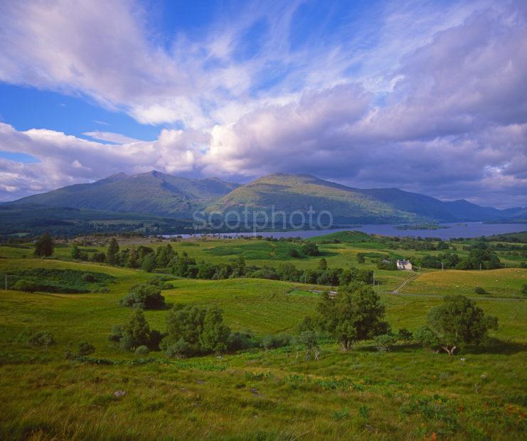 Summer View Towards Loch Awe And Ben Cruachan As Seen From Claddich Argyll