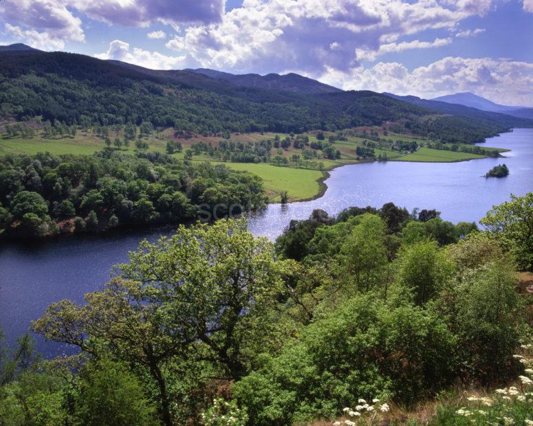 Summer Scene Of Loch Tummel From Queens View Perthshire