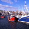 Pittenweem Harbour Fife