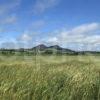 View Looking Towards The Eildon Hills From The South West Scottish Borders