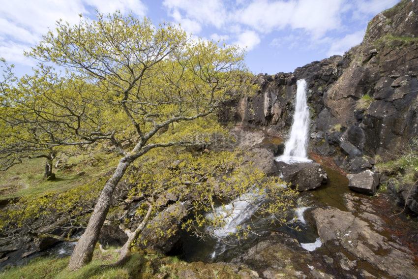 Waterfall On North West Coast Of Mull