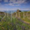 Bluebells Dunskey Castle