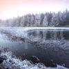 WY3Q6423 Frosty Scene On Loch Luhair Perthshire