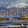 0I5D9437 Castle Stalker