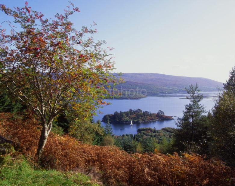 Kiyles Of Bute In Autumn