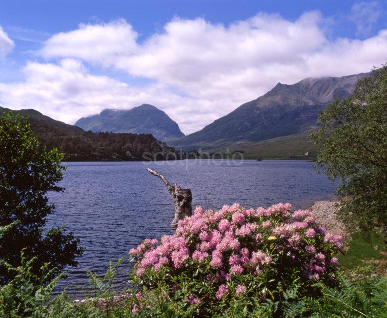 Loch Clair And Liathach In Spring Torridon North West Highlands