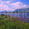 Summer View Looking Across The Corran Sound Towards Ardgour With Corran Lighthouse In View West Highlands