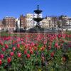 Fountain And Flowers Brighton