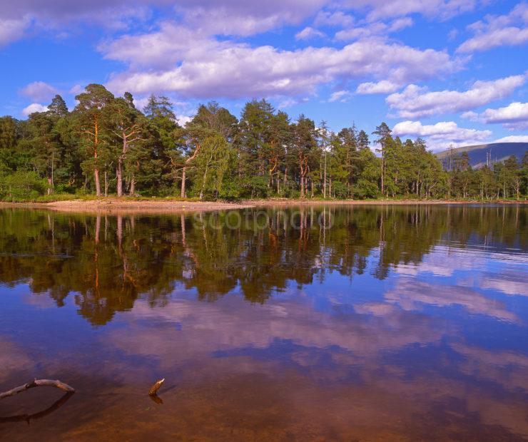 Summer Reflections On The West Shore Of Loch Lochy Near Bun Arkaig Lochaber West Highlands