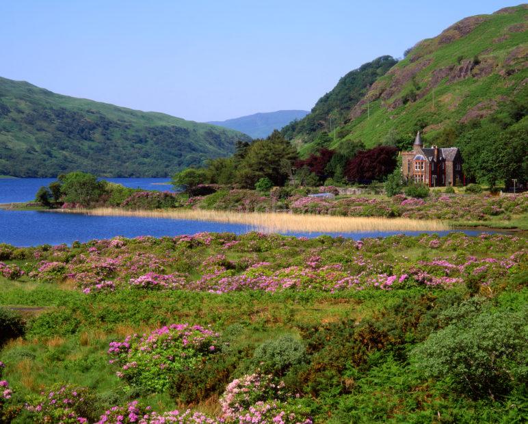 Springtime On Shore Of Loch Uisg Island Of Mull