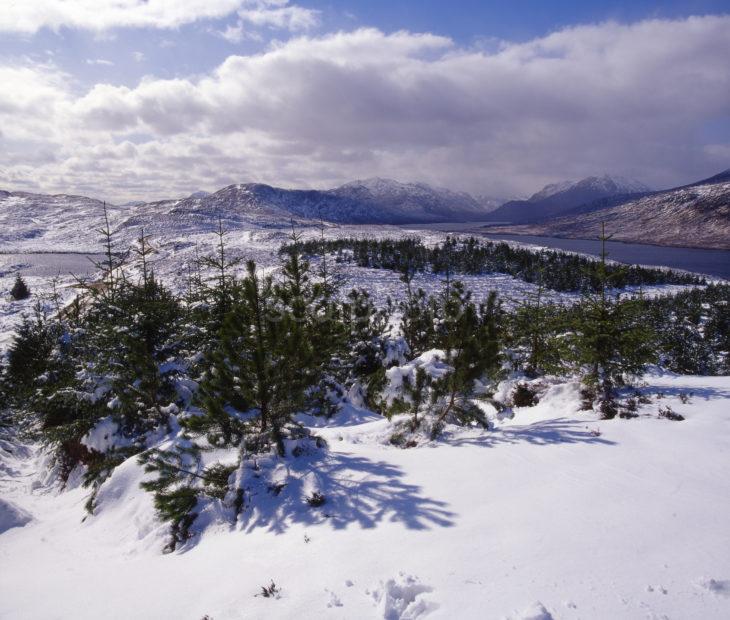 Loch Loyne Glen Loyne Highlands