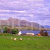 Summer View From Kilchoan Across The Bay Towards Ben Hiant Ardnamurchan West Highlands