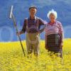 Brother And Sister Amongst Daisies Onich