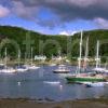 Loch Melfort From Marina Near Kilmelfort Argyll