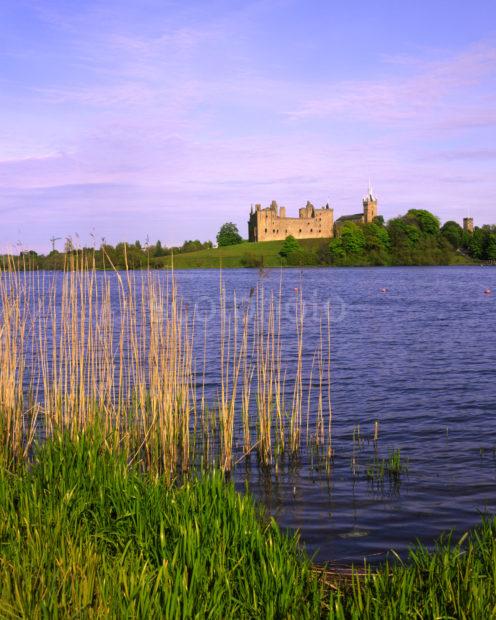 Linlithgow Palace From Linlithgow Loch West Lothian