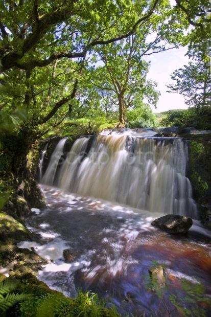 0I5D0652 The Falls Of Blairgour Loch Awe Argyll