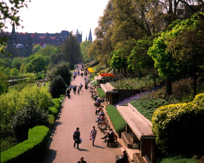 Princes Street Gardens In Summer Towards St Cuthberts Church Edinburgh