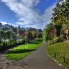 0I5D9393 Autumn Scene In Princes Street Gardens