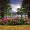 Springtime Scene From The Shore Of Loch Sunart Strontium West Highlands