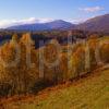 Late Autumn View Looking Down Towards Gairlochy From Near Spean Bridge Lochaber District West Highlands