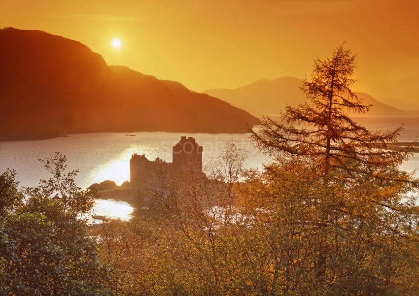 FPO 13 Eilean Donan Sunset Trees