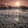 Icy And Frosty Lochan Near Newtonmore Lochan Nan Ovie