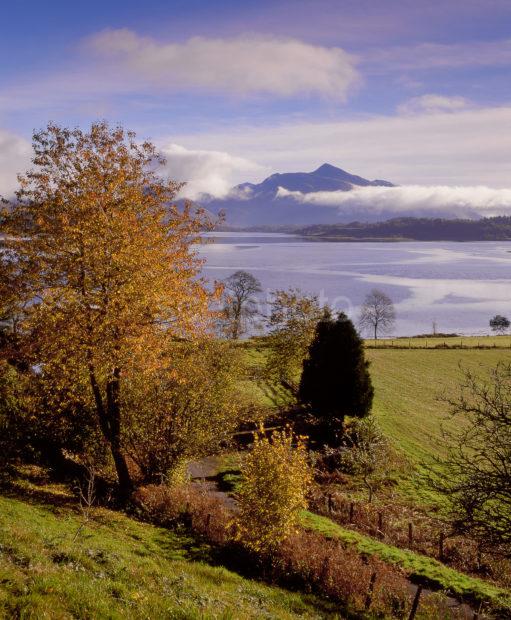 Misty Autumn Scene Of Loch Etive To Ben Cruachan North Connel Argyll