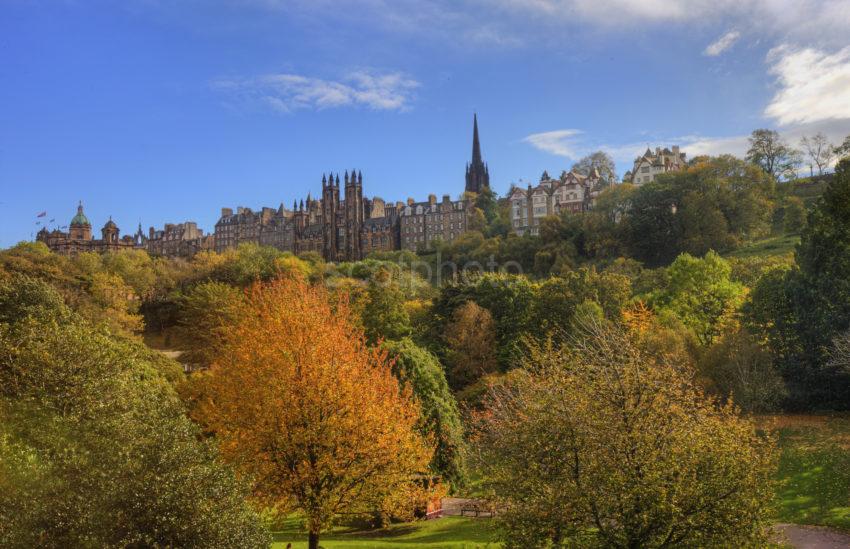 0I5D9432 Princes Street Gardens