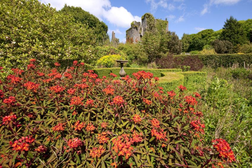 DSC 4671 Castle Kennedy From Walled Garden Nr Stranraer Galloway