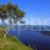 Summer Of Loch Awe From The Slopes Of Ben Cruachan Argyll