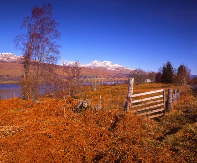 View Towards Ben Lawers And Loch Tay From The South Shore Perthshire