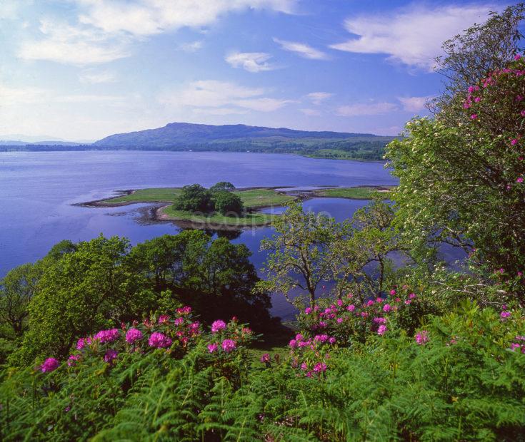 Spring View Overlooking Loch Etive