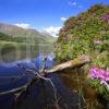 WY3Q0865 Lochan In Glen Etive In Spring Argyll