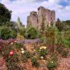 Castle Kennedy Wigtownshire SW Scotland