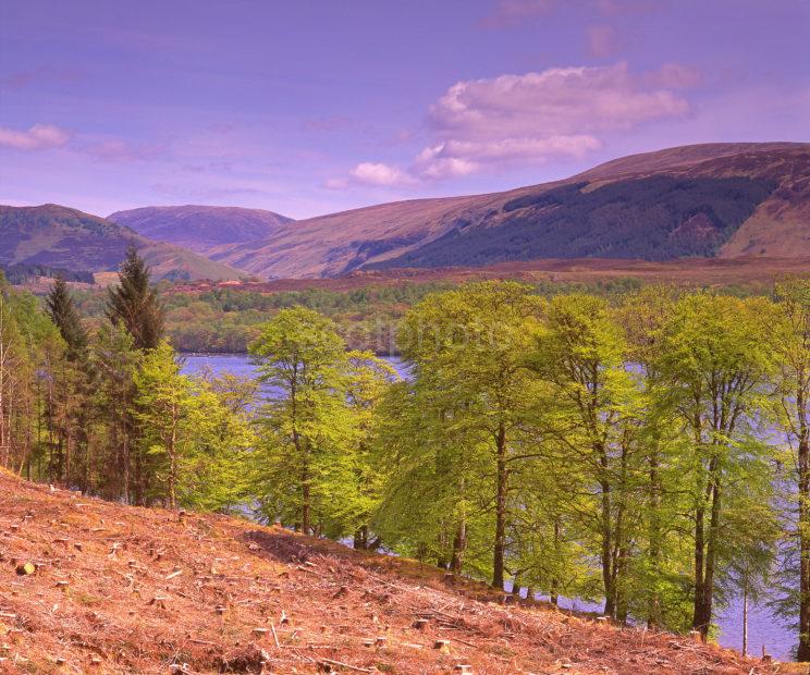 Spring View Of Loch Lochy From Gairlochy Great Glen