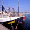 Fishing Boats At The Pier In Port Ellen Islay