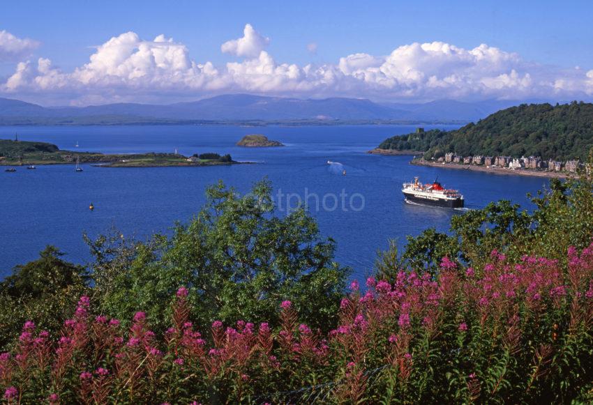 Oban Bay