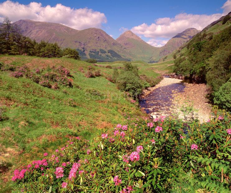 Springtime Scene Of Glen Etive Argyll