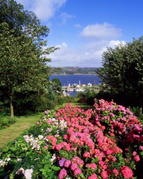 Summer View Towards Crinan Harbour Argyll