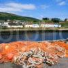 Helmsdale Harbour